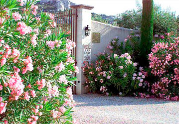 Jardinier paysagiste à Fontvieille 13 PACA Le jardin des Alpilles