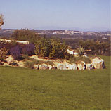 Installation de cloture à Fontvieille 13 PACA Le jardin des Alpilles