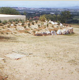 Installation de cloture à Fontvieille 13 PACA Le jardin des Alpilles