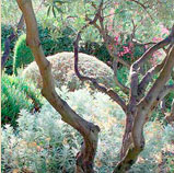 Création d'espaces verts jardin parc à Fontvieille 13 PACA Le jardin des Alpilles